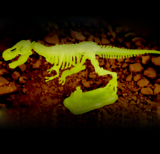 Set pentru arheologi mici – Tyranosaurus Rex