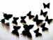 3D fluturi de perete - negri