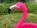 Bazin gonflabil pentru copii Flamingo
